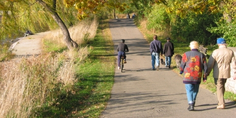 Walking and Cycling banner: Link to 'Walking and Cycling ' Walking and Cycling banner