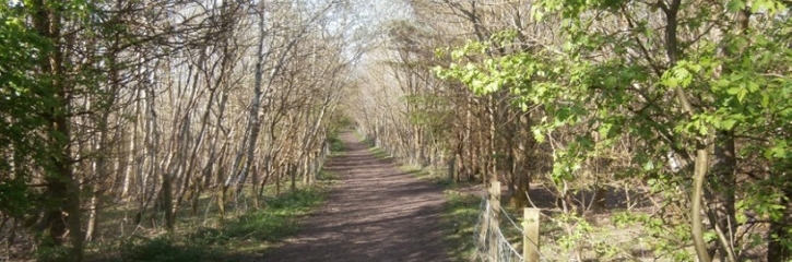 Walks in West Lothian banner: Link to 'Walks in West Lothian' Walks in West Lothian banner